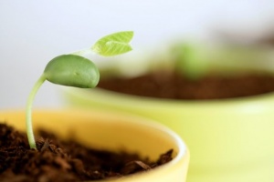 勞務派遣工必須知道的幾件事！